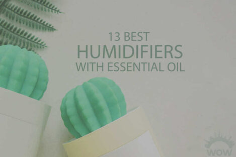 13 Best Humidifiers with Essential Oil