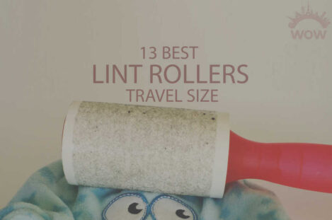 13 Best Lint Rollers Travel Size