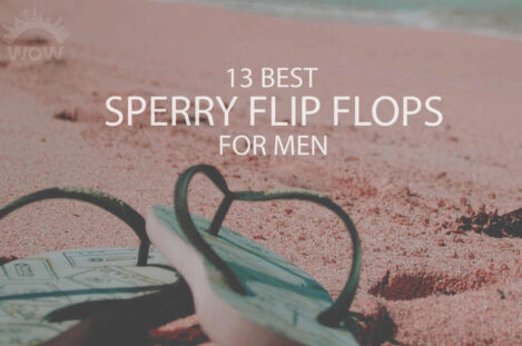 13 Best Sperry Flip Flops for Men