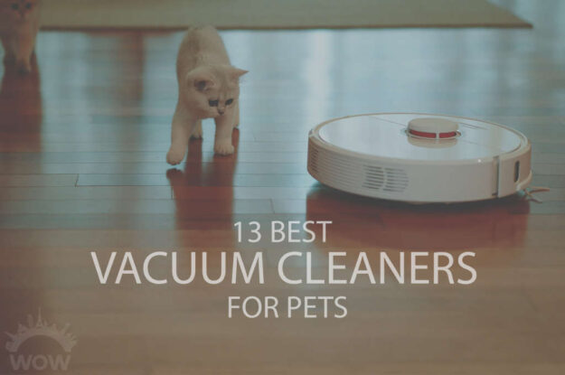 13 Best Vacuum Cleaners for Pets