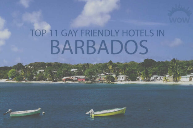 Top 11 Gay Friendly Hotels In Barbados