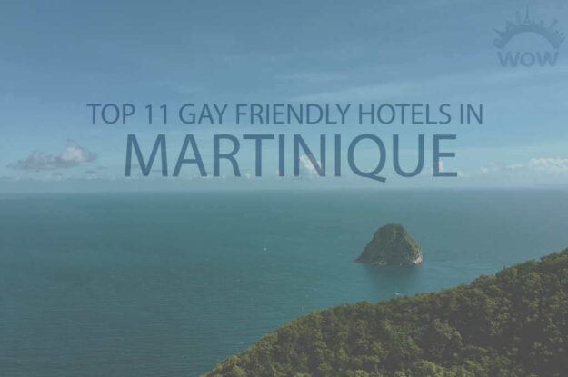 Top 11 Gay Friendly Hotels In Martinique