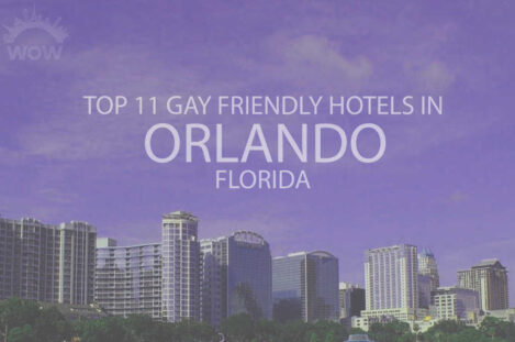 Top 11 Gay Friendly Hotels In Orlando