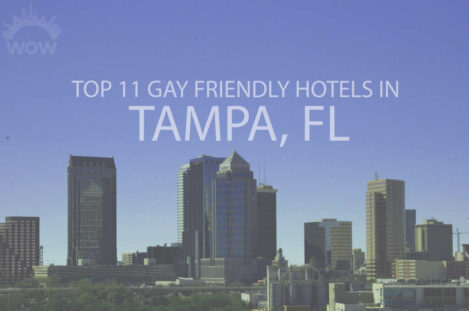 Top 11 Gay Friendly Hotels In Tampa FL