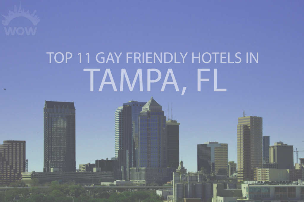 Gay hard in Tampa
