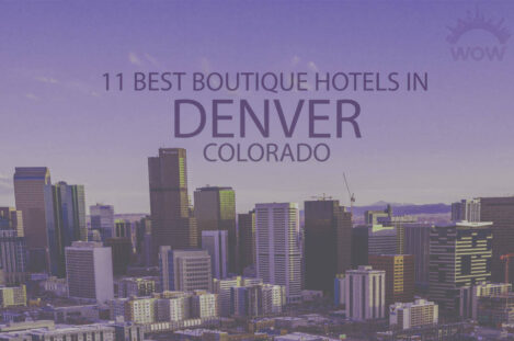 11 Best Boutique Hotels in Denver, Colorado