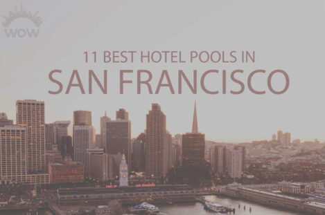 11 Best Hotel Pools in San Francisco
