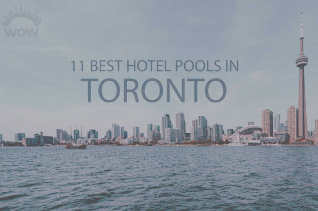 11 Best Hotel Pools in Toronto