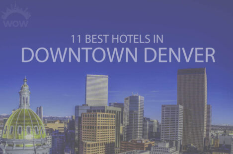 11 Best Hotels in Downtown Denver