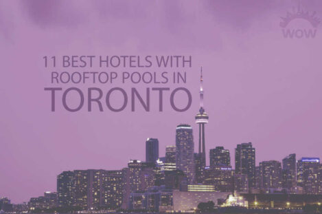 11 Best Hotels with Rooftop Pools in Toronto