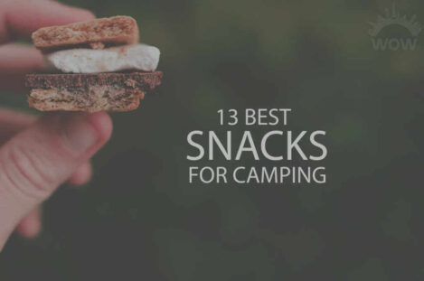 13 Best Snacks for Camping