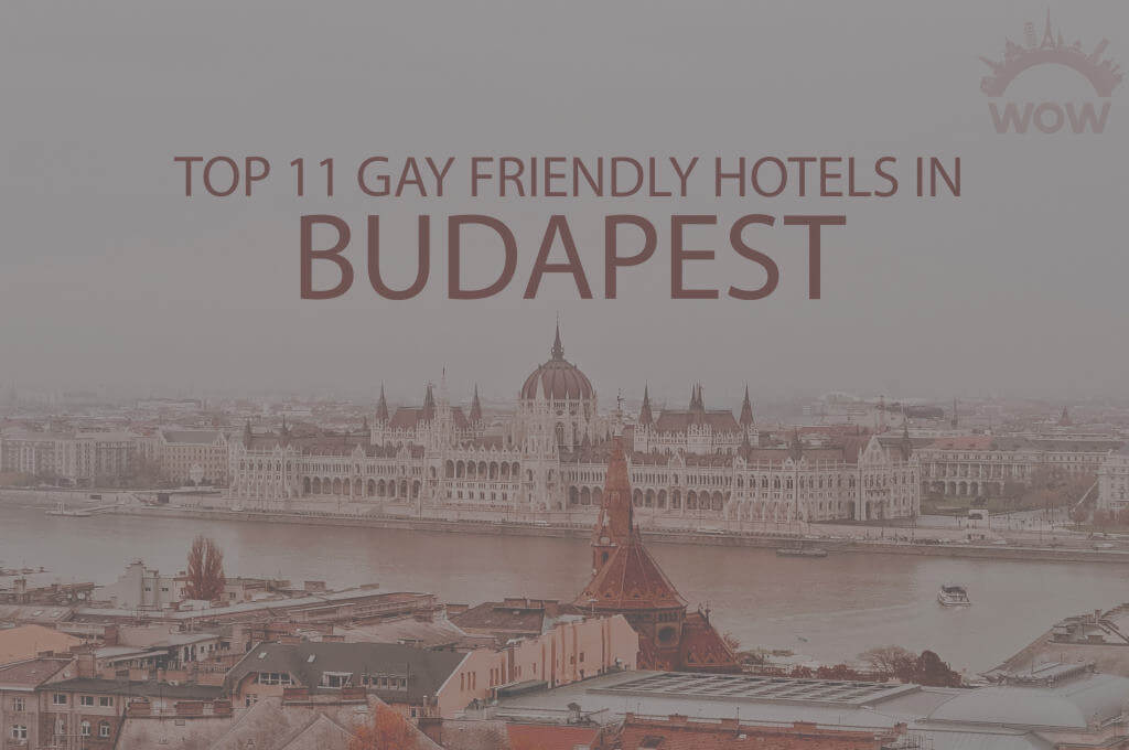 Free porn for gay in Budapest