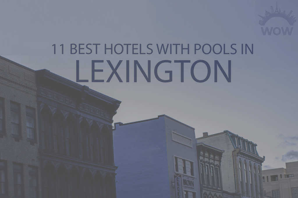 11 Best Hotels with Pools in Lexington KY