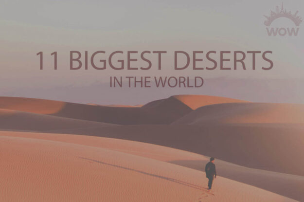 11 Biggest Deserts In The World