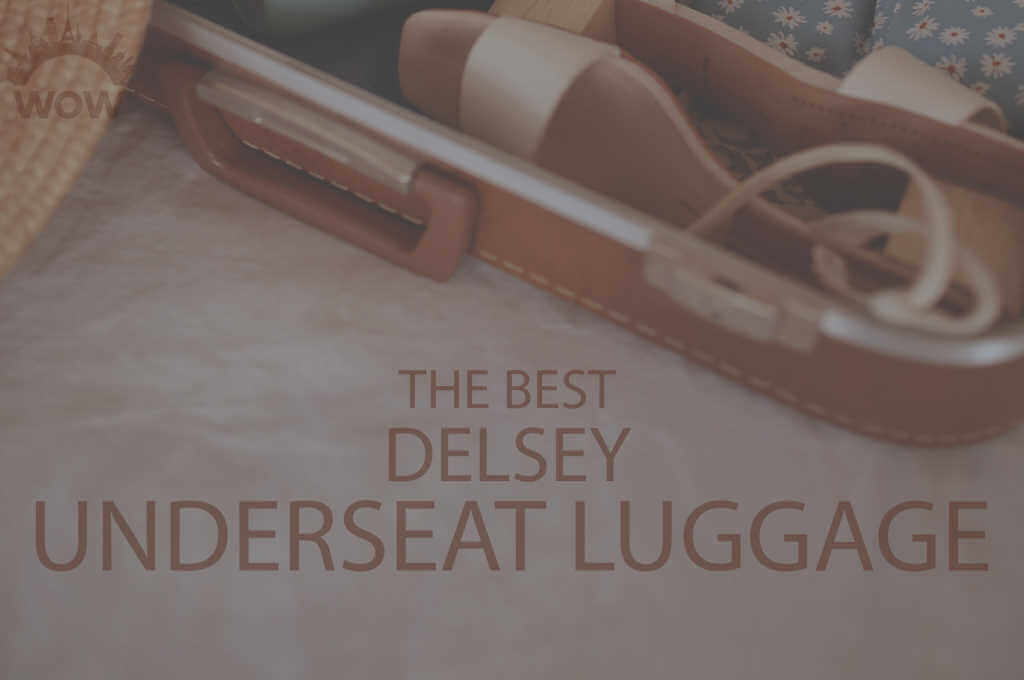 13 Best Delsey Under Seat Luggage
