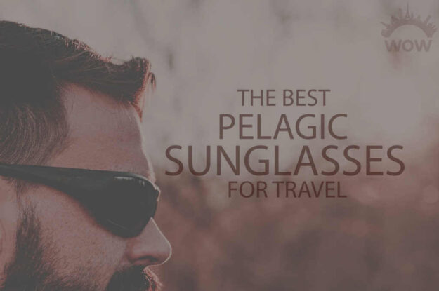 13 Best Pelagic Sunglasses for Travel