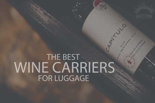 13 Best Wine Carriers for Luggage