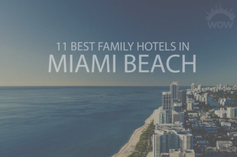 11 Best Family Hotels in Miami Beach