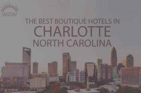 11 Best Boutique Hotels in Charlotte, North Carolina