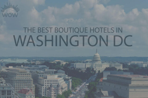 11 Best Boutique Hotels in DC