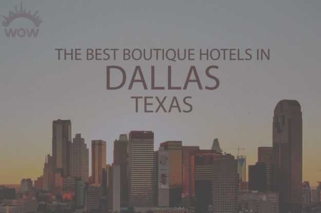 11 Best Boutique Hotels in Dallas, Texas