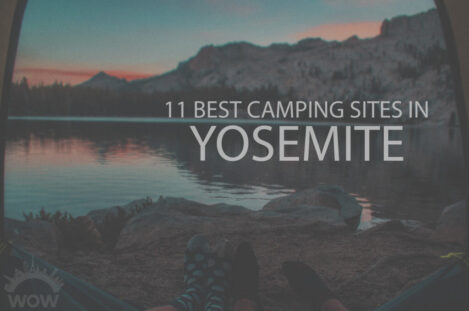 11 Best Camping Sites in Yosemite