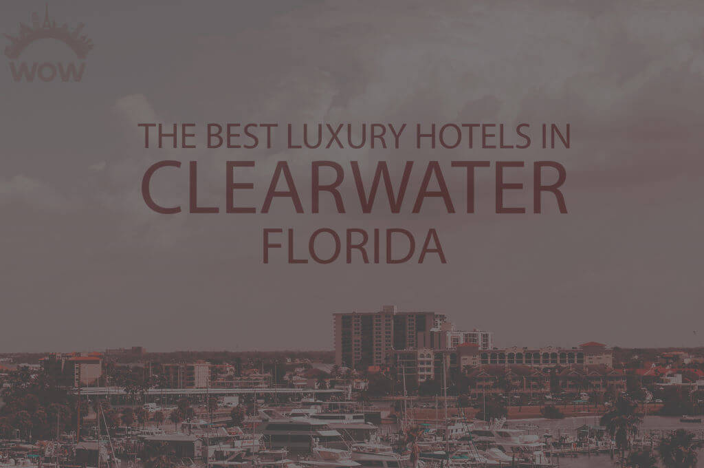 11 Best Luxury Hotels in Clearwater FL