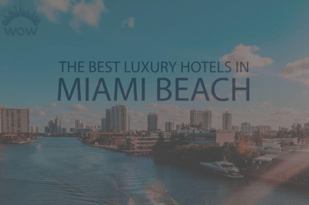 11 Best Luxury Hotels in Miami Beach