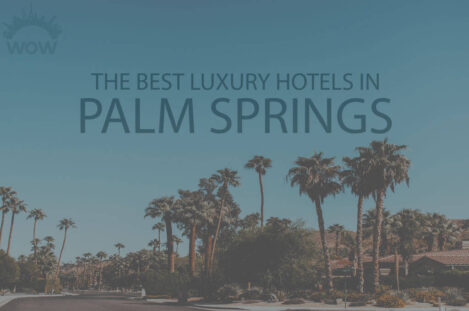 11 Best Luxury Hotels in Palm Springs