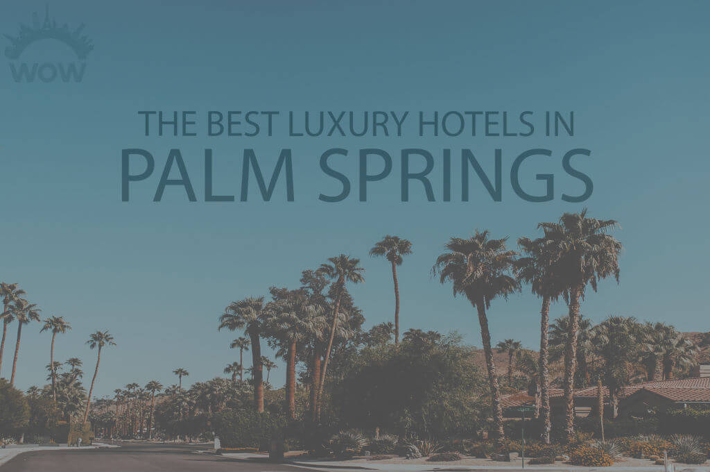 11 Best Luxury Hotels in Palm Springs