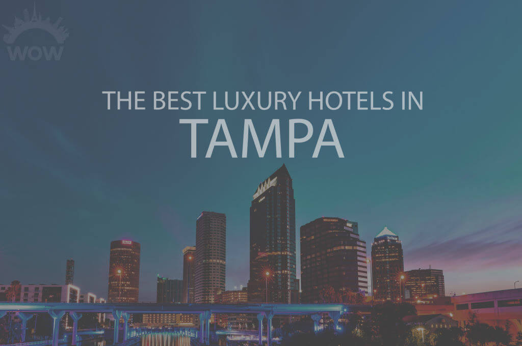 11 Best Luxury Hotels in Tampa