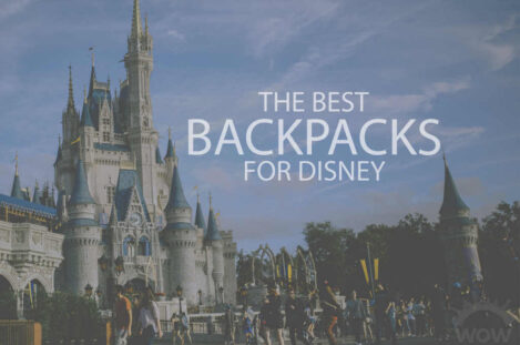 13 Best Backpacks for Disney