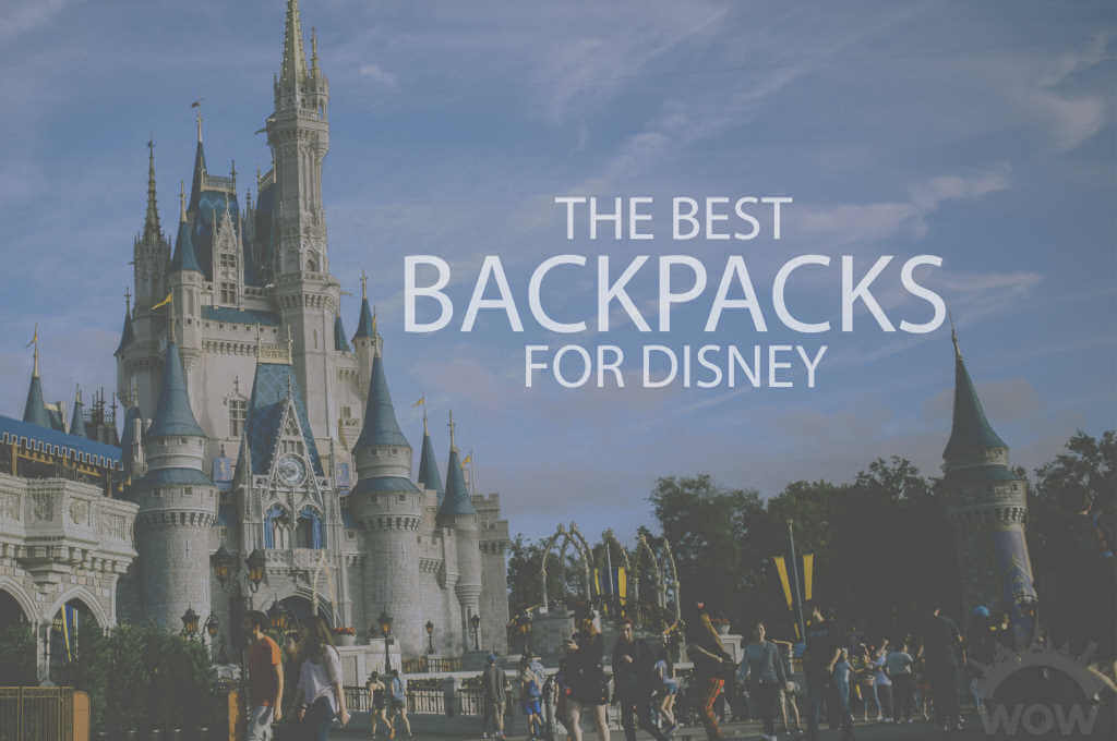 13 Best Backpacks for Disney