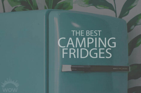 13 Best Camping Fridges