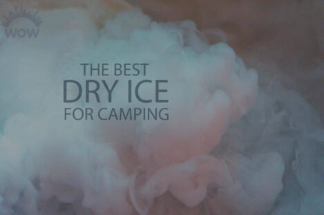 13 Best Dry Ice for Camping