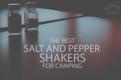 13 Best Salt and Pepper Shakers for Camping