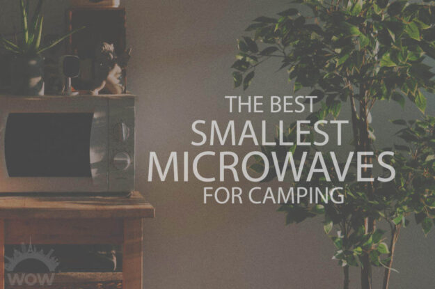 13 Best Smallest Microwaves for Camping