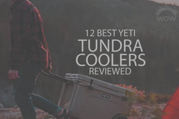 12 Best YETI Tundra Coolers Reviewed