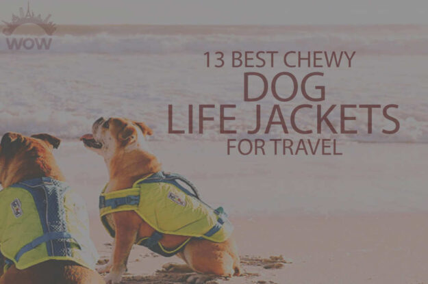 13 Best Chewy Dog Life Jackets for Travel