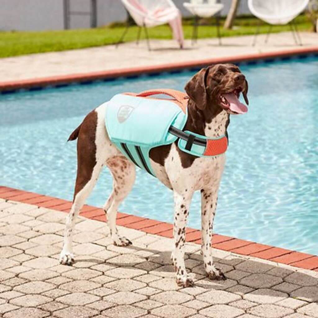 Frisco Active Dog Life Jacket by Chewy