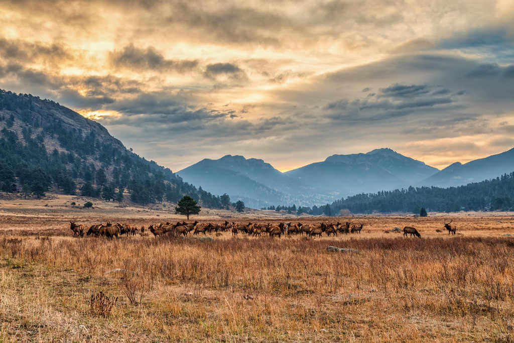 Moraine Park, Rocky Mountains National Park, Colorado - by Michael Levine-Clark, Flickr