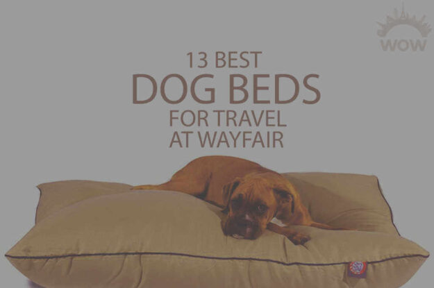 13 Best Dog Beds for Travel at Wayfair