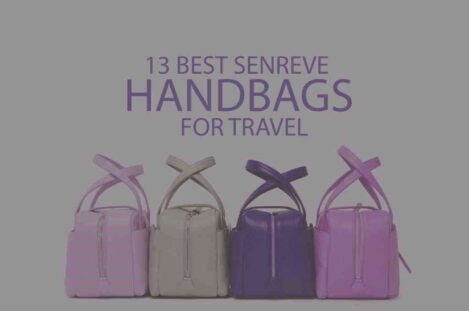 13 Best Senreve Handbags for Travel