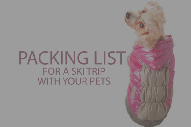 Packing List for a Ski Trip with Your Pets