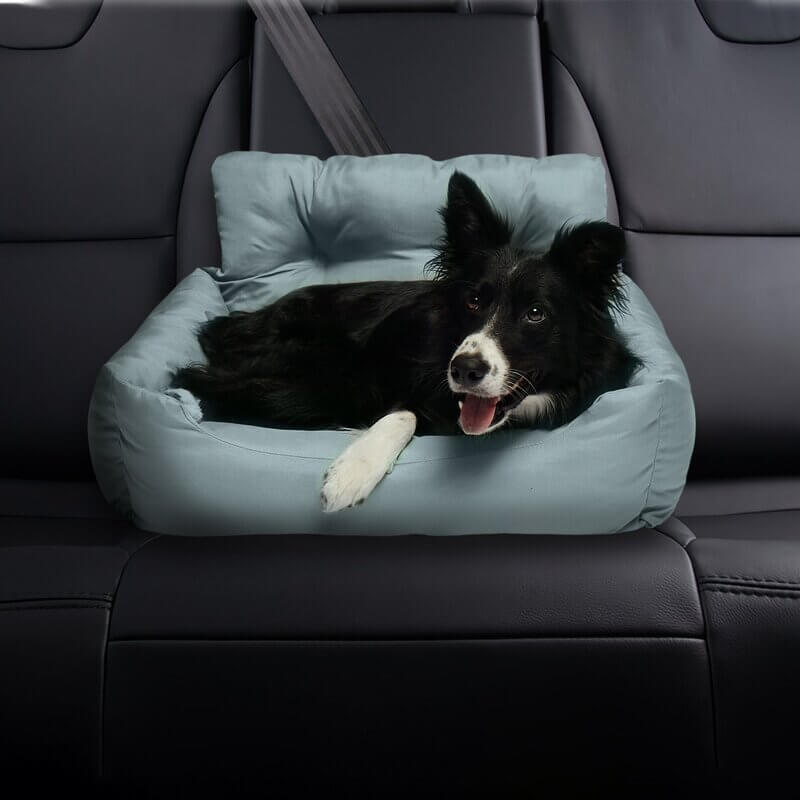 best travel dog bed