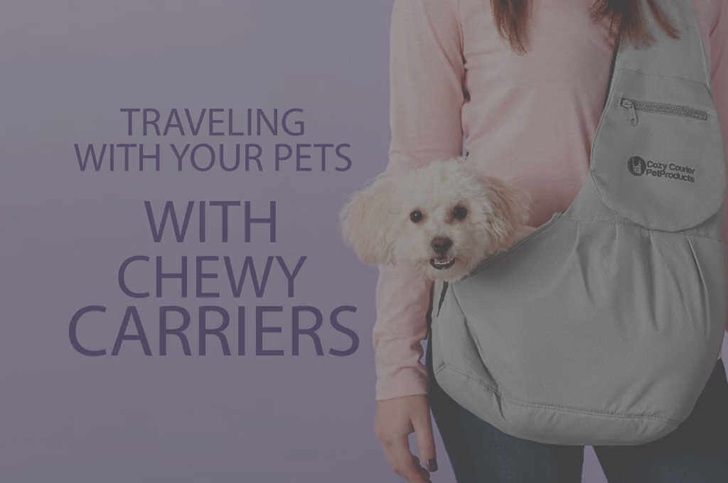 Traveling with Your Pet with Chewy Carriers