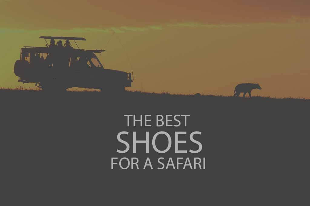 13 Best Shoes for a Safari
