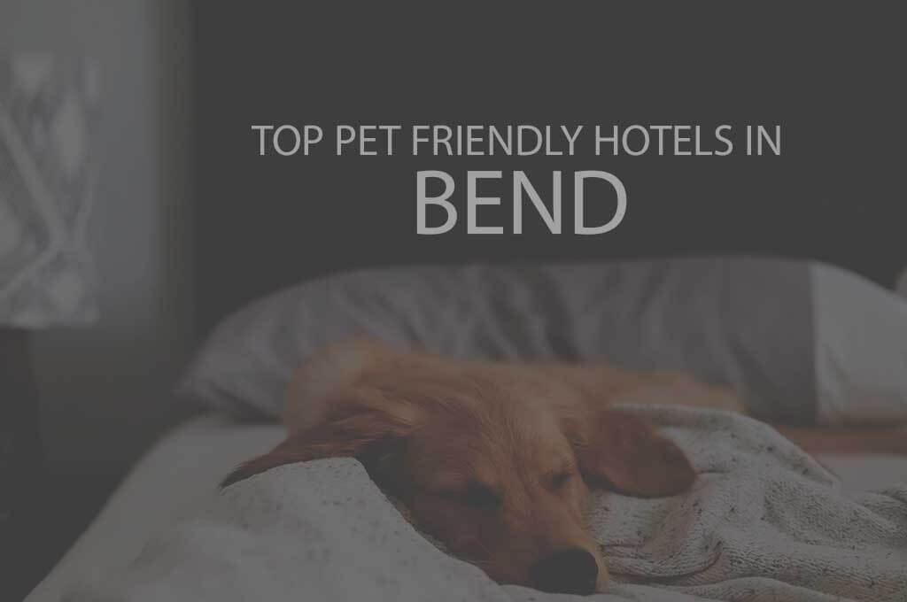 Top 11 Pet Friendly Hotels In Bend OR