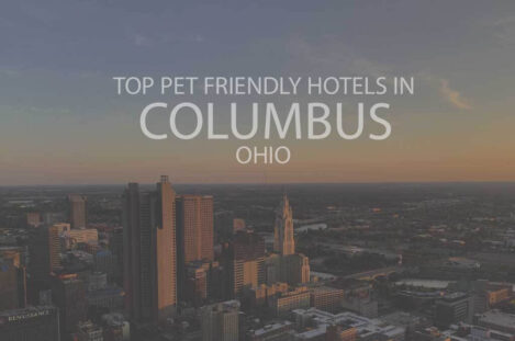 Top 11 Pet Friendly Hotels In Columbus OH