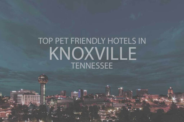 Top 11 Pet Friendly Hotels In Knoxville TN